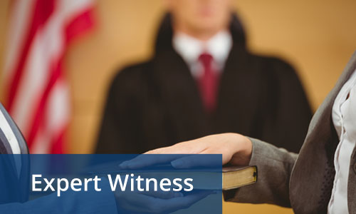 Expert Witness